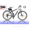 250W Mountain Electric Bike with CE Approval
